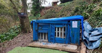 Secret woodland den built by teens faces being torn down after single complaint