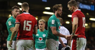 'The WRU probably thought it couldn't get any worse — until this': The brutal Wales v Ireland media reaction