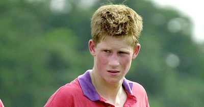 'Older woman' reveals signs Prince Harry was more experienced lover than he let on