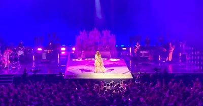 Florence + The Machine stop Leeds First Direct Arena show after fan faints in the crowd
