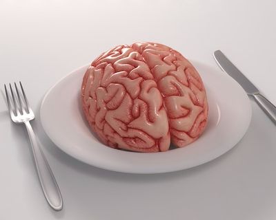 How Your Diet Could Help (or Hurt) Your Aging Brain