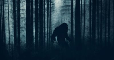 Group of kids come 'eye-to-eye with Bigfoot' after following awful smell in forest