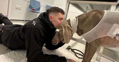 Man says he would 'sell his house to save his dog' as he faces £20,000 vet bill