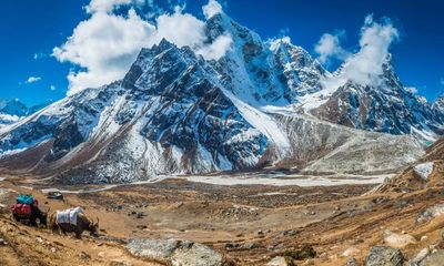 In brief: The Meaning of Geese; Two Sherpas; The Second Cut – review