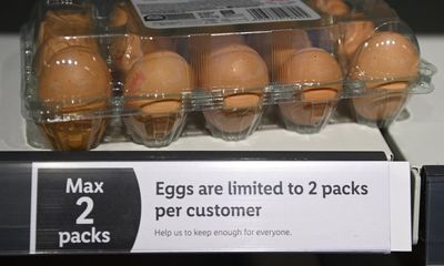 Does the egg shortage spell the end for brunch? For the sake of the chickens, I hope so