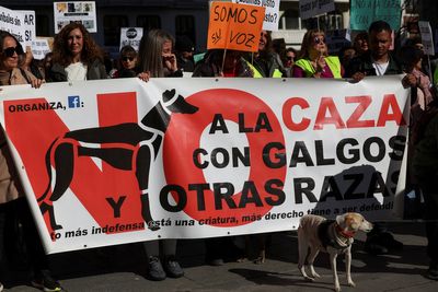 Thousands protest against animal rights bill in Spain for excluding hunting dogs