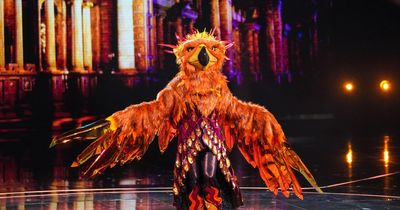 The Masked Singer UK viewers think Welsh actor could be behind Phoenix as judges left stumped