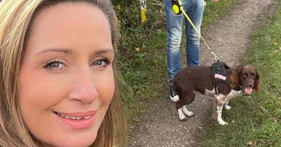 Missing Nicola Bulley's dog 'entered fight or flight mode' at disappearance, says expert