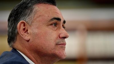 John Barilaro trade appointment had all the hallmarks of 'jobs for the boys', inquiry finds