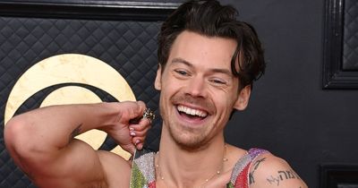 Harry Styles stuns fans with low cut Swarovski jumpsuit on Grammy Awards red carpet