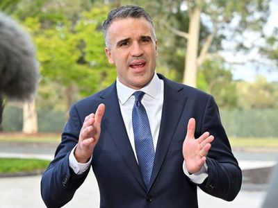 Premier rejects fears over luring child protection boss