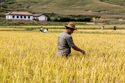 North Korea ruling party to hold key meeting on agriculture