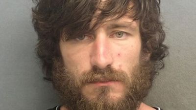 David Young and Edwin Hinrichsen plead guilty to Michael Purse's manslaughter