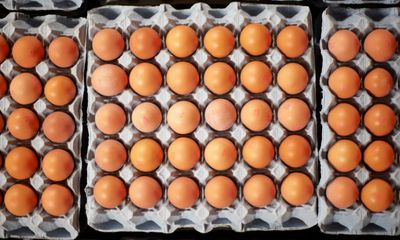 Fears of worsening egg shortage in New Zealand as fire kills 50,000 hens at farm