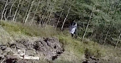 Ghost of 'black eyed girl' stalking walkers in UK beauty spot 'confirmed by drone'