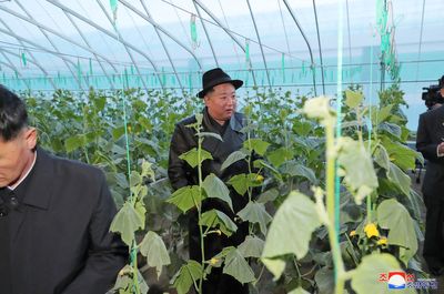 North Korea ruling party meeting to address 'urgent' agricultural needs