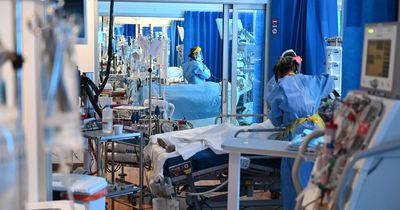 Glasgow probe into doctor accused of stealing and selling life-saving PPE during covid pandemic