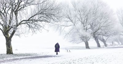 Cold weather warning in place as temperatures plummet below freezing