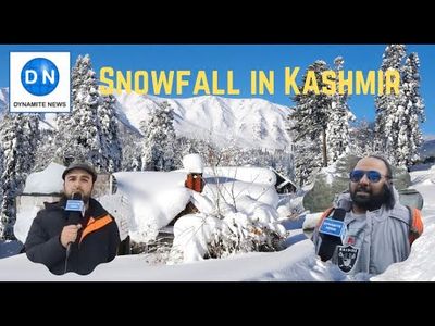 J&K: Kashmir Beams With Snowfall, Tourists From India And Abroad Throng The Valley
