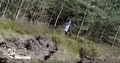 Terrifying drone footage shows ghost of 'black eyed girl' stalking walkers near forest