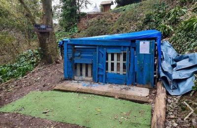 Woodland den built by teenagers to be torn down after just one complaint