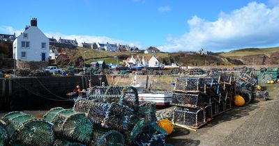 The tiny Scottish fishing village that starred in a Harry Styles music video