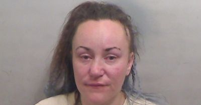 Sinead Johanson: Appeal to find 'high risk' missing woman last seen on Saturday