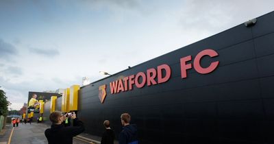 Watford leading the way off the pitch on Green Football Weekend by adding bees