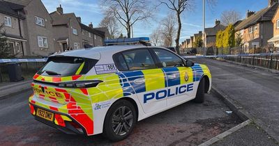 Woman arrested for attempted murder after three young children 'stabbed' at house