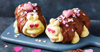 M&S shoppers 'smitten' as popular Valentine's Day caterpillar cake couple returns