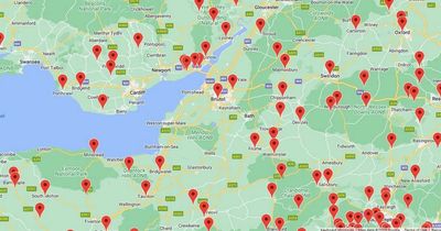 Dog owners put on high alert as two cases of deadly Alabama Rot confirmed