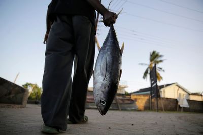 New Indian Ocean fishing rules in big win for coastal states