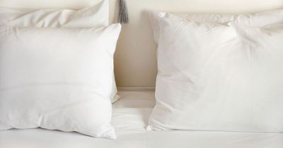 Sleep expert's warning over popular cloud bed trend as many say it's their 'dream'