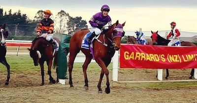 Jockey receiving counselling over pile-up in which apprentice Megan Taylor was killed