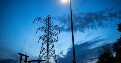 'Blackout chaos' warning issued by union as 1,300 power grid workers balloted over pay