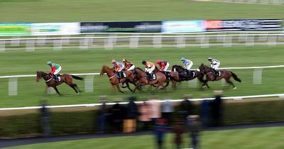 Newsboy's racing tips for Tuesday as he takes on Cheltenham Festival hope Queens Gamble