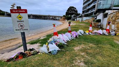 Expert issues warning to swimmers following WA fatal shark attack that killed Stella Berry
