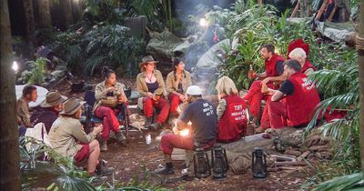 Former I'm A Celebrity star reveals new career path as they 'retire' from showbiz