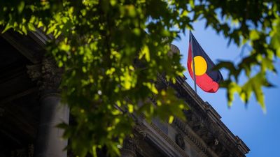 SA First Nations Voice set to pass with support from The Greens, but opposition seeks more detail
