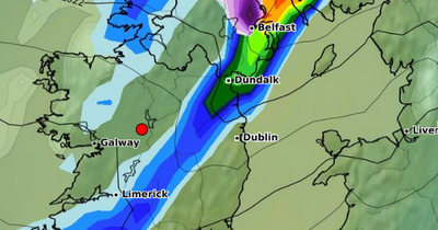 Ireland weather: Expert gives Beast from the East update amid 'dip' in latest weather models