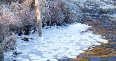 Cold snap produces unusual Glenkens ice formations