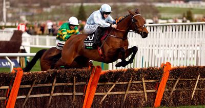 Honeysuckle to miss Champion Hurdle to bow out in Mares' Hurdle at Cheltenham Festival