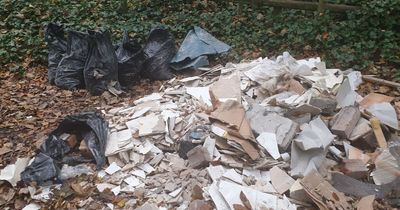 Serial flytipper paid by residents to get rid of waste appears in court