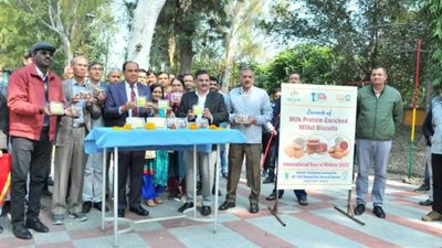 NDRI develops milk protein-enriched millet biscuits