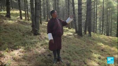 Towards a greener future: Bhutan, an example to the world on cutting emissions
