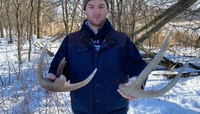 Finding big shed antlers