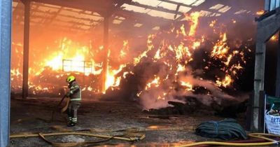 Teenager fined just £61 for burning £1million barn to the ground in arson attack