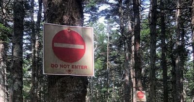 Five unexplained disappearances in abandoned town with man 'vanishing into thin air' on bus