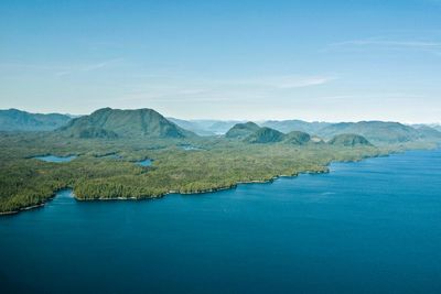 Great Bear Sea: vast new marine zone a ‘mindset shift’ for conservation