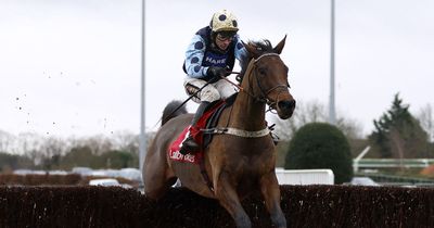 Edwardstone recovering from bruised foot but remains on target for Champion Chase